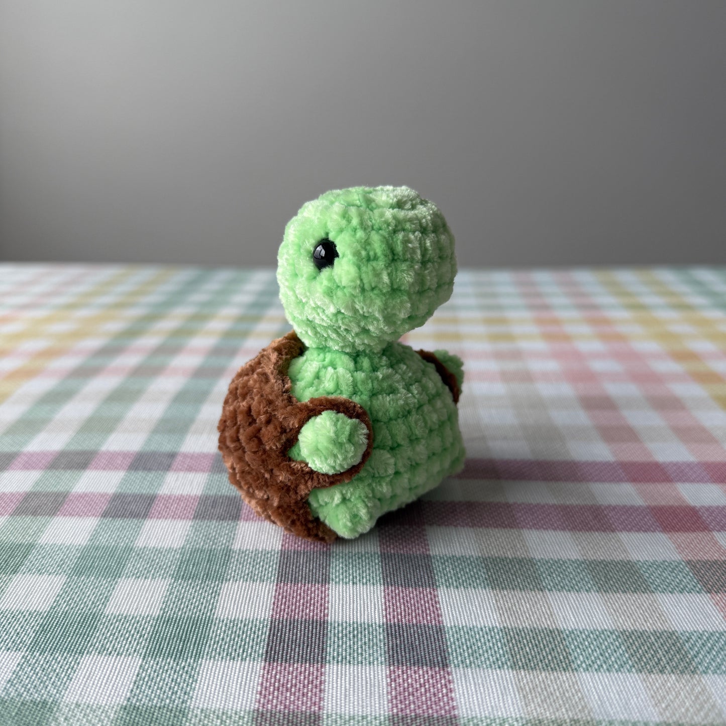 Booty Turtle