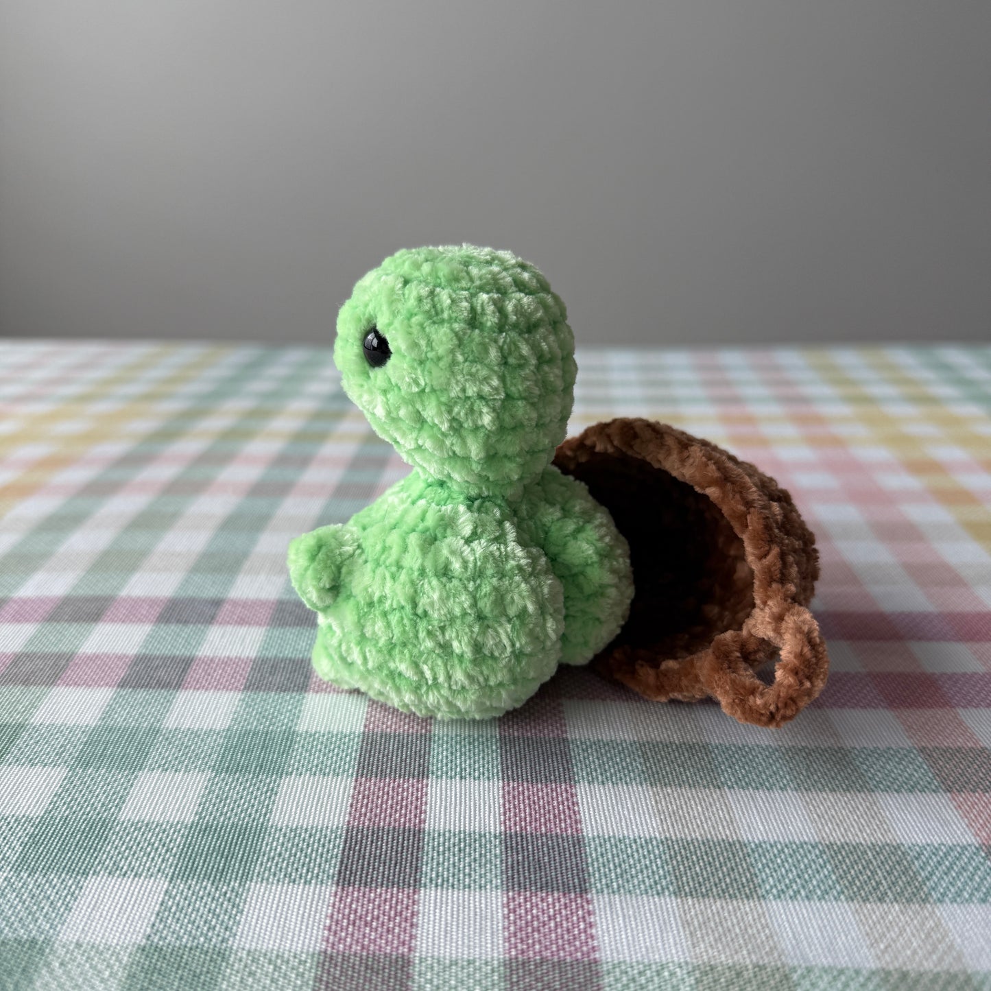 Booty Turtle