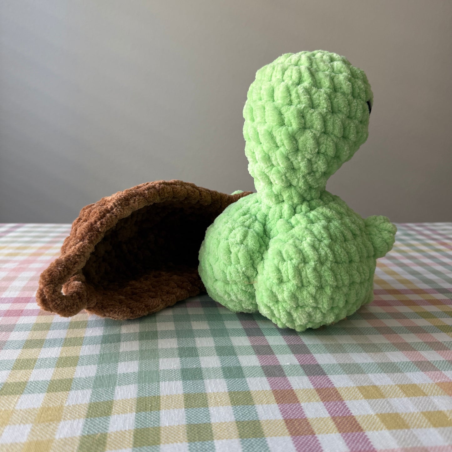 Booty Turtle
