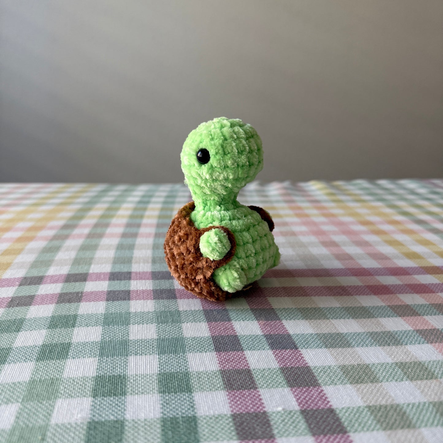 Booty Turtle