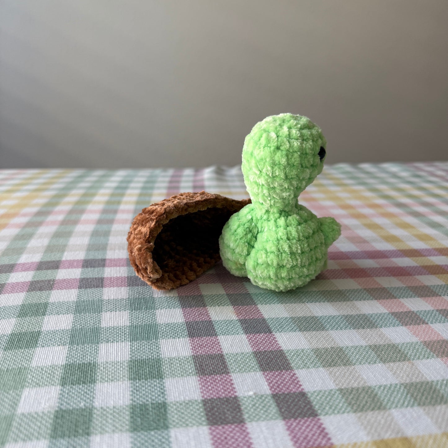 Booty Turtle
