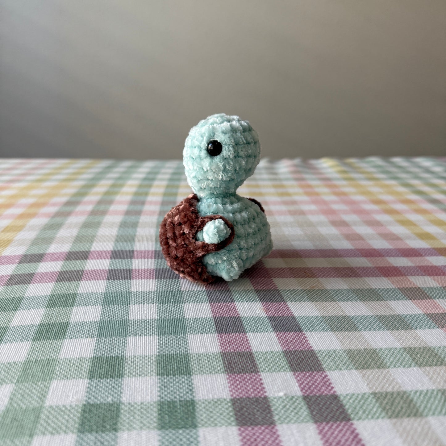 Booty Turtle