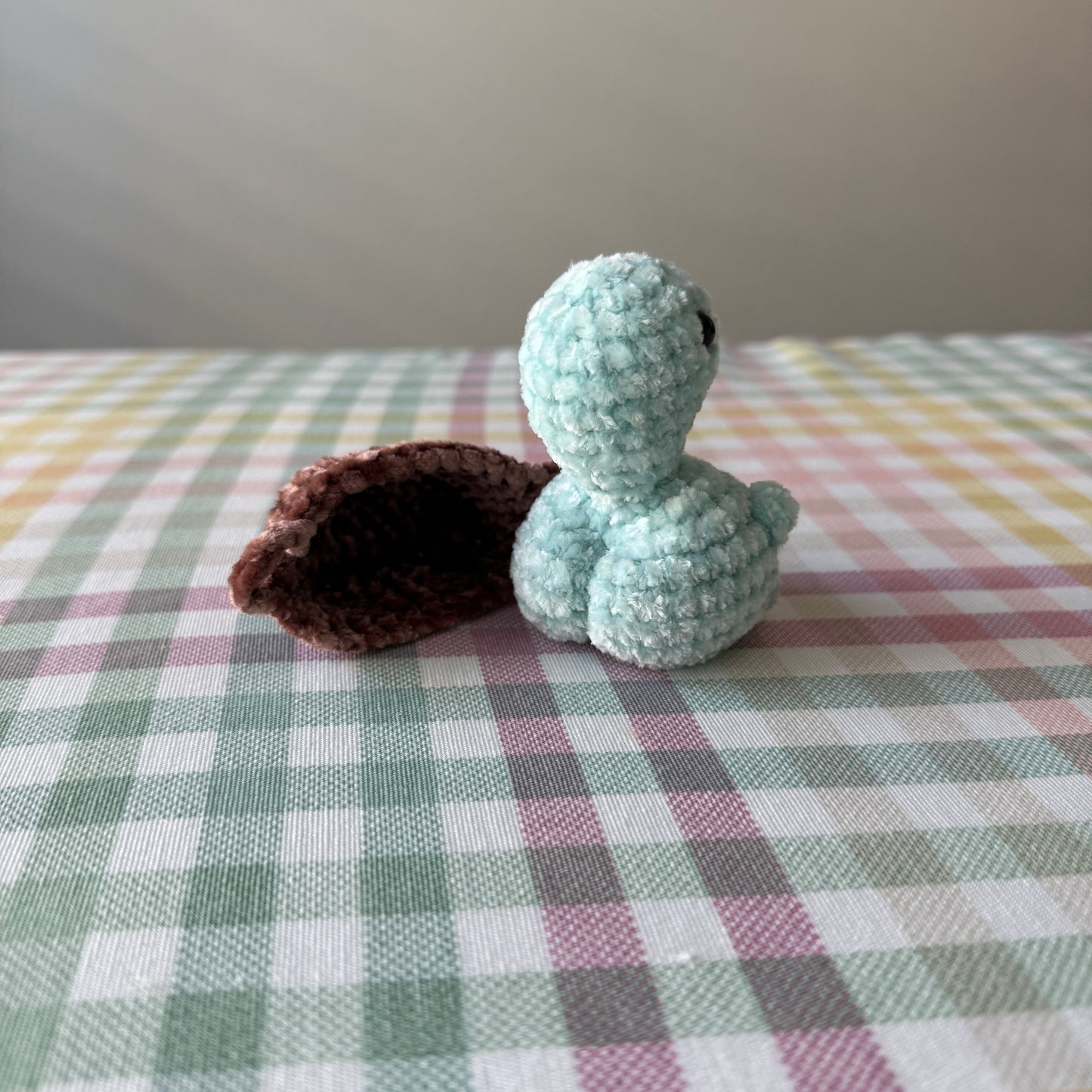 Booty Turtle