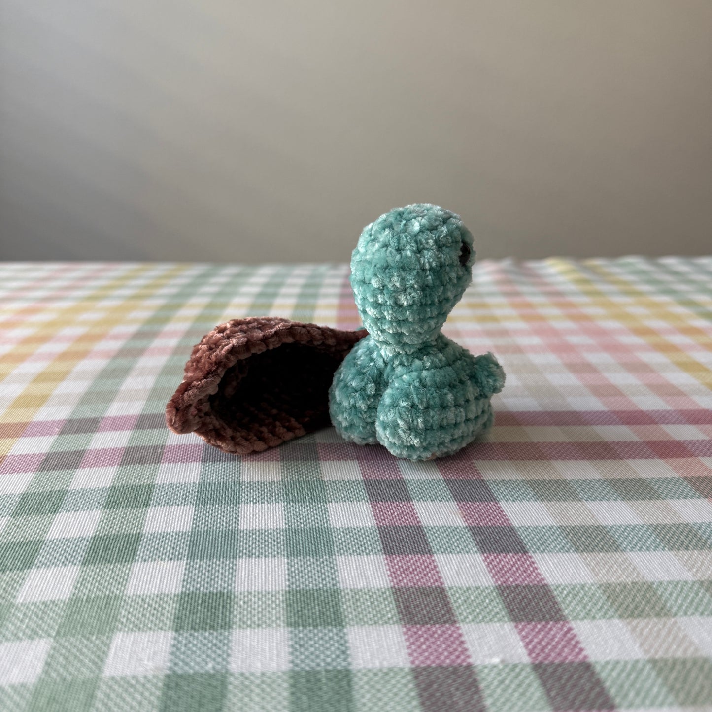 Booty Turtle
